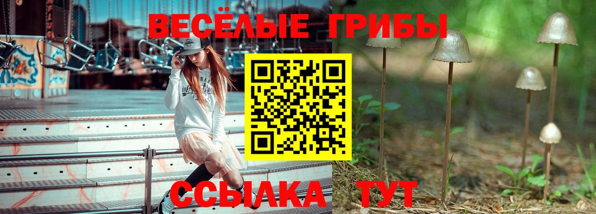 Меф мяу мяу Шатура